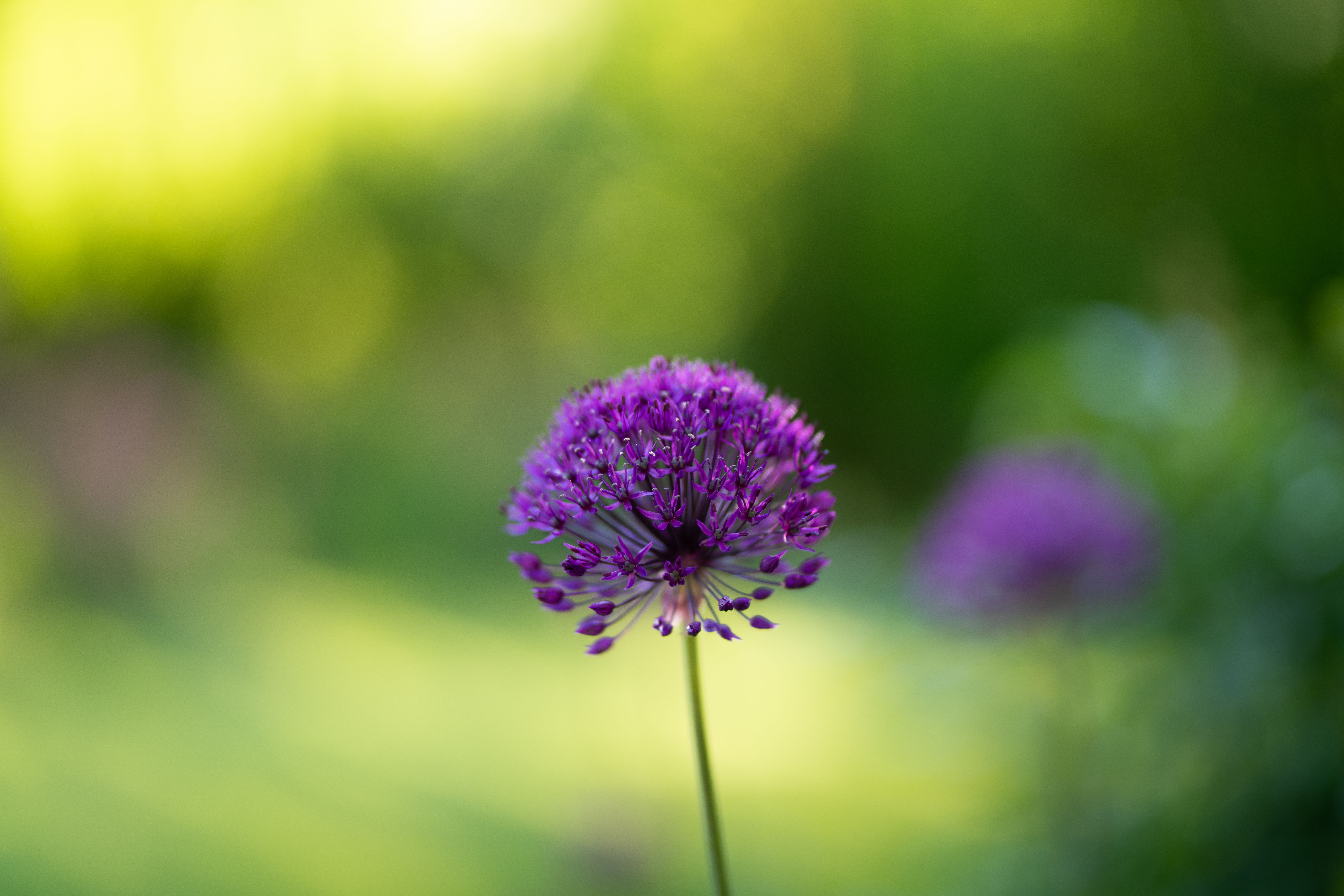 Beautiful Garden Landscaping