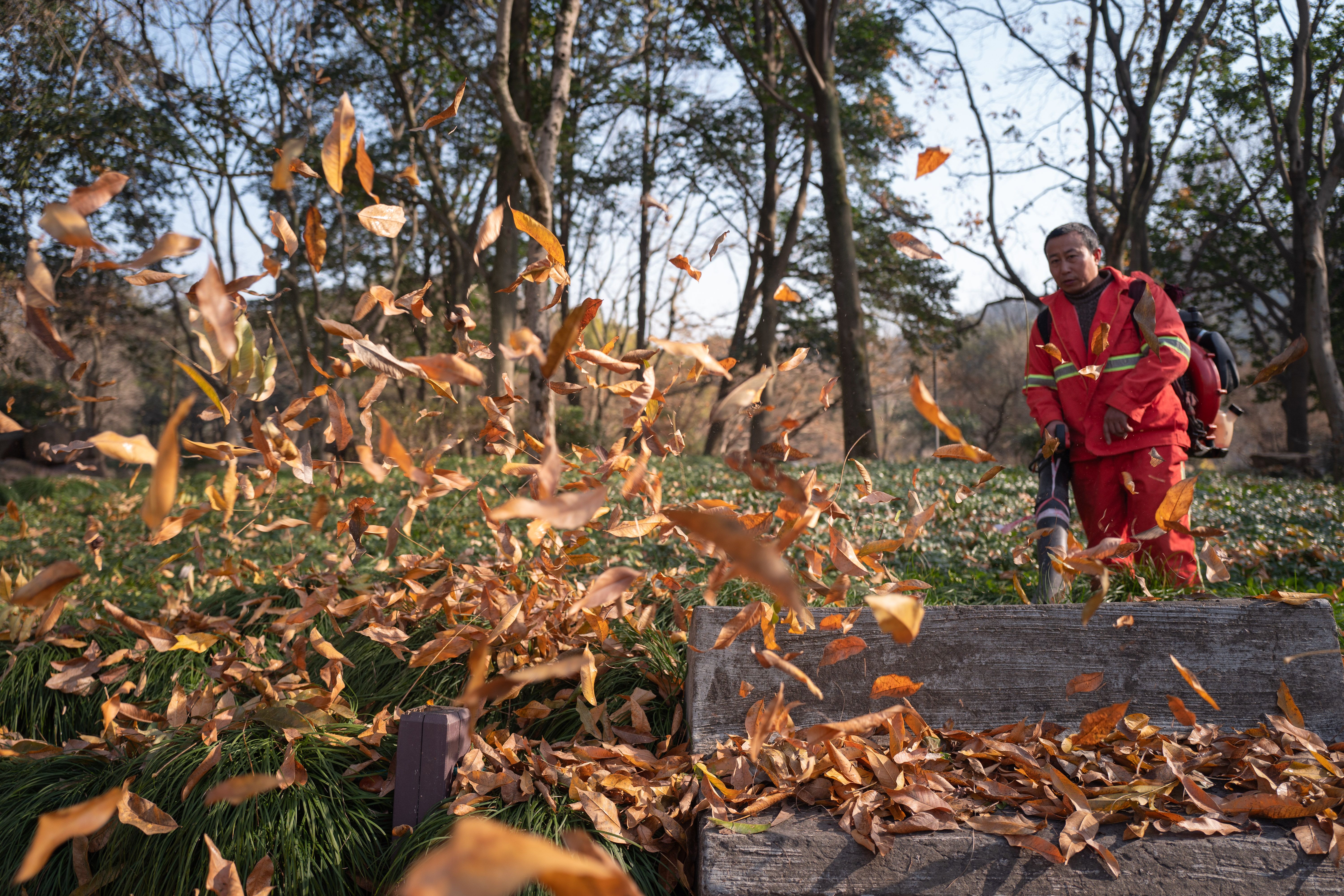 Leaf Blowing